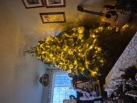 There shouldn't be any lights